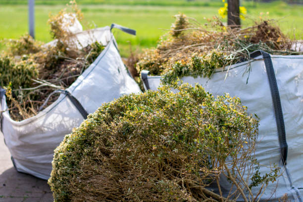 Best Dumpster Rental Services  in Brackenridge, PA